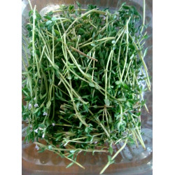 Fresh Herbs, Thyme 10g